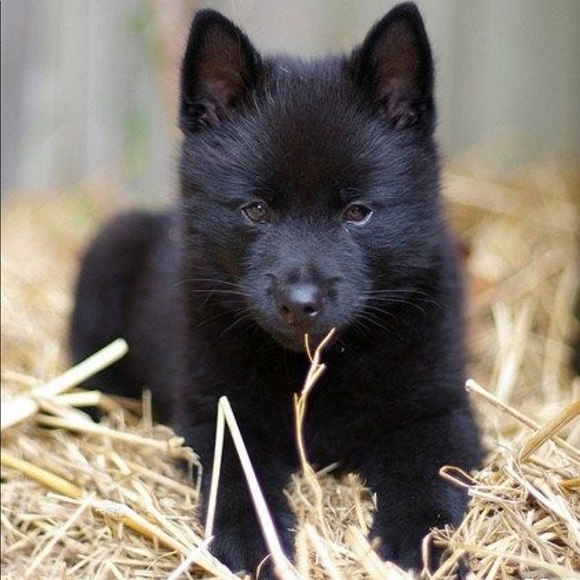 ๐I Wish You Happiness & Prosperity For 2020 ๐๐ - Picture 5 of 6